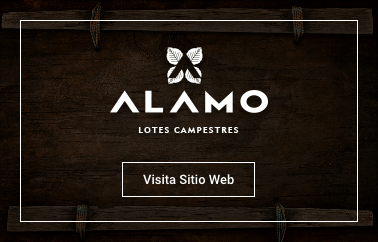 Alamo Yaxkukul | Lotes Campestres en Venta | Sky 6 Real Estate