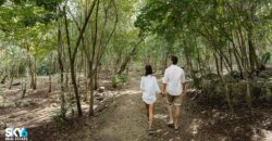 Lote Usos Mixtos de Gran Tamaño en venta en Cenote Habitat Ruta de los Cenotes
