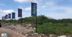 Terreno en Santa Clara Yucatán: ¡Tu Oportunidad en el Paraíso!