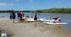 Terreno en Santa Clara Yucatán: ¡Tu Oportunidad en el Paraíso!
