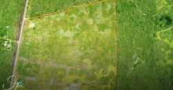 Terreno en Sahumal Valladolid con alta plusvalía