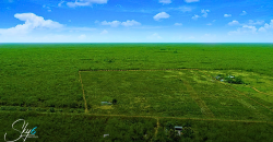 Terreno en Sahumal Valladolid con alta plusvalía