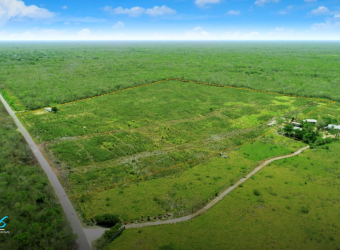 Terreno en Sahumal Valladolid con alta plusvalía