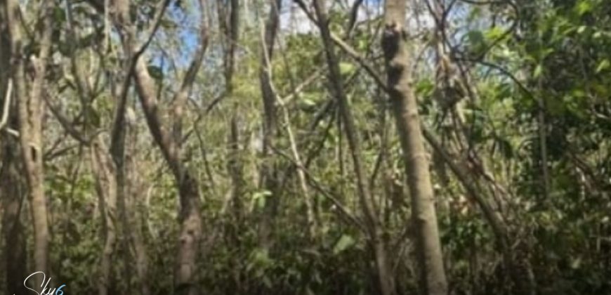 Terreno en Alfredo Bonfil: 1,000 m2 de Uso Mixto