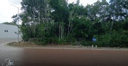 Terreno en Vía Cumbres: Construye tu Hogar Ideal