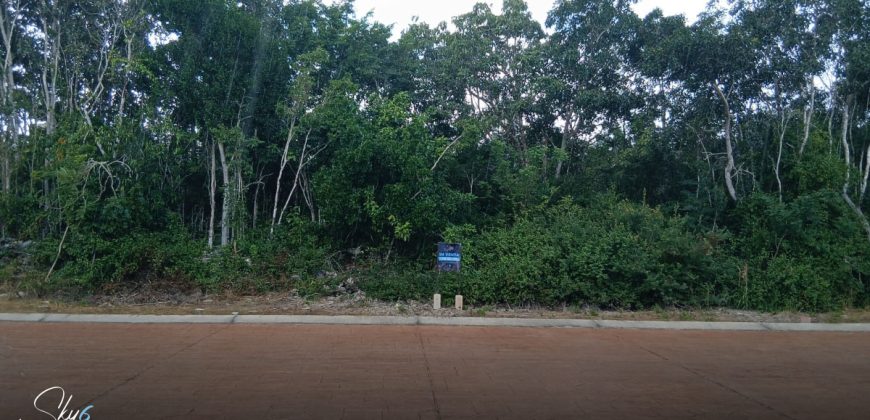 Terreno en Vía Cumbres: Construye tu Hogar Ideal