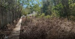 Terreno en Alfredo Bonfil: 1,000 m2 de Uso Mixto