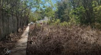 Terreno en Alfredo Bonfil: 1,000 m2 de Uso Mixto