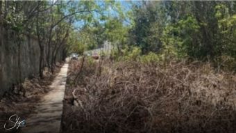 Terreno en Alfredo Bonfil: 1,000 m2 de Uso Mixto