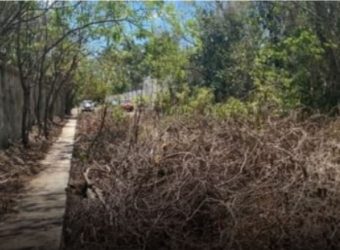 Terreno en Alfredo Bonfil: 1,000 m2 de Uso Mixto