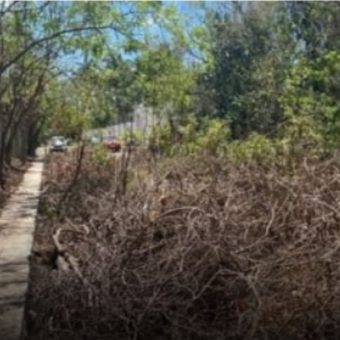 Terreno en Alfredo Bonfil: 1,000 m2 de Uso Mixto