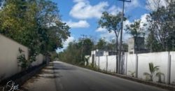 Terreno en Alfredo Bonfil: 1,000 m2 de Uso Mixto