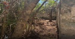 Terreno en Alfredo Bonfil: 1,000 m2 de Uso Mixto