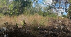 Terreno en Alfredo Bonfil: 1,000 m2 de Uso Mixto