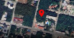 Terreno en Alfredo Bonfil Uso Mixto 2,500 m²