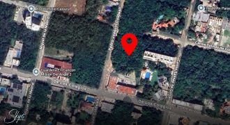 Terreno en Alfredo Bonfil Uso Mixto 2,500 m²