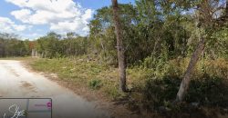 Terreno Habitacional en Prolongación La Luna en Venta