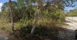 Terreno Habitacional en Prolongación La Luna en Venta