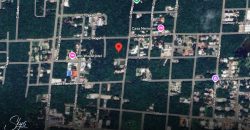 Terreno Habitacional en Prolongación La Luna en Venta