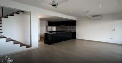 Residencia en Río Residencial Moderna y Funcional