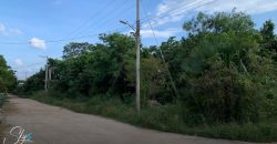 Terreno en Venta en Bonfil Cancún