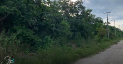 Terreno en Venta en Bonfil Cancún